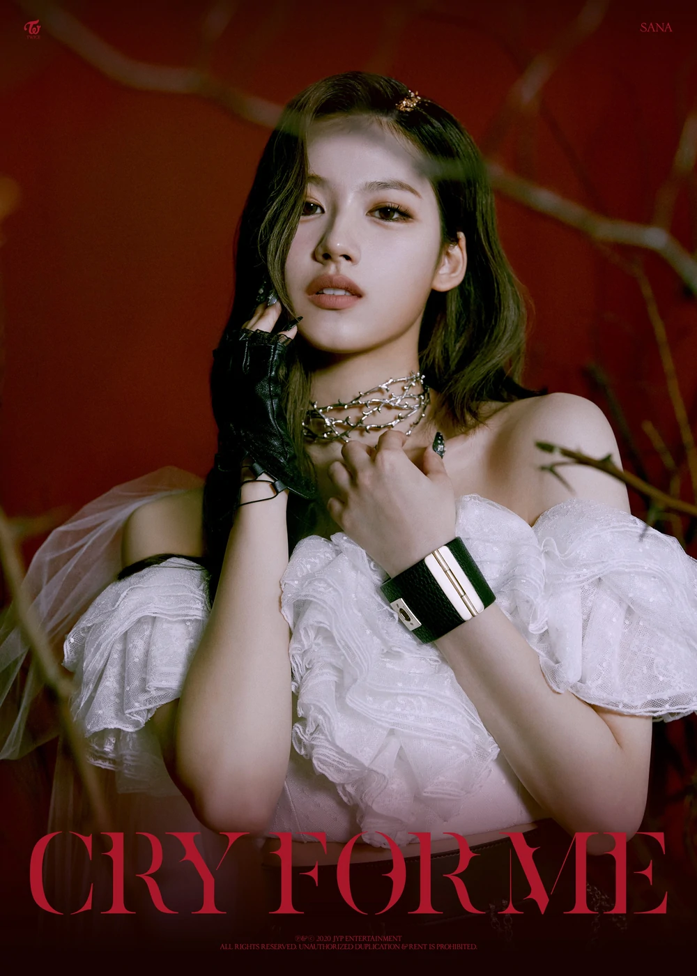 Twice Celebrate Sana Concept Photo